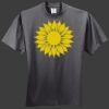 HiDensi T 100% Cotton T Shirt Thumbnail