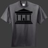 HiDensi T 100% Cotton T Shirt Thumbnail