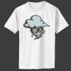 Toddler 5.4 oz 100% Cotton T Shirt Thumbnail