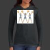 Ladies 100% Ring Spun Cotton Long Sleeve Hooded T Shirt Thumbnail