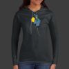 Ladies 100% Ring Spun Cotton Long Sleeve Hooded T Shirt Thumbnail