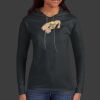Ladies 100% Ring Spun Cotton Long Sleeve Hooded T Shirt Thumbnail