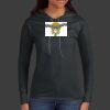 Ladies 100% Ring Spun Cotton Long Sleeve Hooded T Shirt Thumbnail