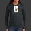 Ladies 100% Ring Spun Cotton Long Sleeve Hooded T Shirt Thumbnail