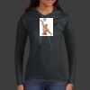 Ladies 100% Ring Spun Cotton Long Sleeve Hooded T Shirt Thumbnail