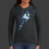 Ladies 100% Ring Spun Cotton Long Sleeve Hooded T Shirt Thumbnail