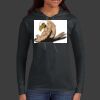 Ladies 100% Ring Spun Cotton Long Sleeve Hooded T Shirt Thumbnail