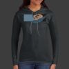 Ladies 100% Ring Spun Cotton Long Sleeve Hooded T Shirt Thumbnail