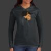 Ladies 100% Ring Spun Cotton Long Sleeve Hooded T Shirt Thumbnail