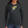 Ladies 100% Ring Spun Cotton Long Sleeve Hooded T Shirt Thumbnail