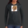 Ladies 100% Ring Spun Cotton Long Sleeve Hooded T Shirt Thumbnail