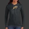 Ladies 100% Ring Spun Cotton Long Sleeve Hooded T Shirt Thumbnail