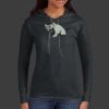 Ladies 100% Ring Spun Cotton Long Sleeve Hooded T Shirt Thumbnail