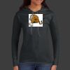 Ladies 100% Ring Spun Cotton Long Sleeve Hooded T Shirt Thumbnail