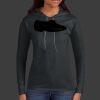 Ladies 100% Ring Spun Cotton Long Sleeve Hooded T Shirt Thumbnail