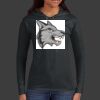 Ladies 100% Ring Spun Cotton Long Sleeve Hooded T Shirt Thumbnail