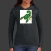 Ladies 100% Ring Spun Cotton Long Sleeve Hooded T Shirt Thumbnail