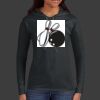 Ladies 100% Ring Spun Cotton Long Sleeve Hooded T Shirt Thumbnail